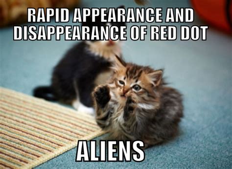 100 Funniest Cat Memes Ever Especially If You Love Cats