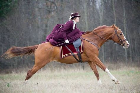221 Best Images About Side Saddle On Pinterest Wild West Show