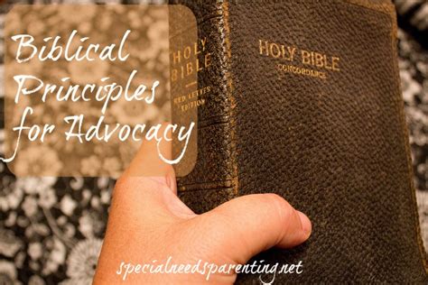 Biblical Principles For Advocacy Special Needs Parenting