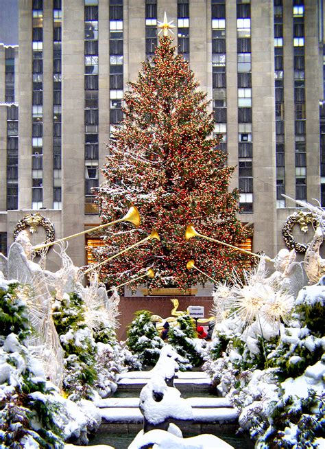 Mc 3206 Rockefeller Center Christmas Tree Art Photo Web