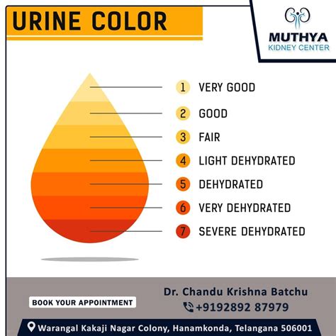 A Healthy Urine Color Range Is From Pale Yellow To Amber Colored Urine Dr Chandu Says It All