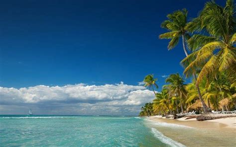 Landscape Nature Island Beach Palm Trees Sea Summer Clouds Tropical Vacations