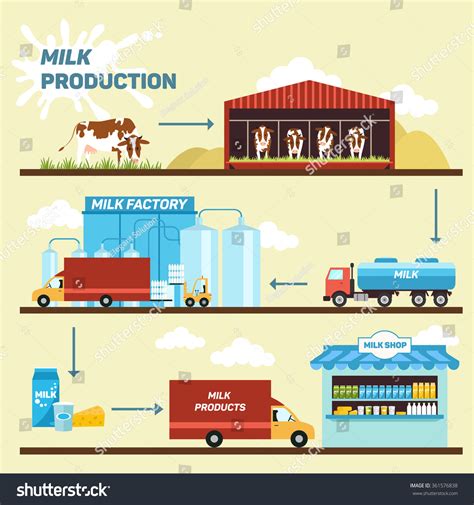 Vector Illustration Of Production Stages And Processing Of Milk From A
