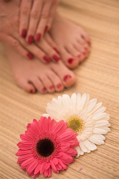 Female Feet And Hands At Spa Salon Stock Image Image Of Flower Clean