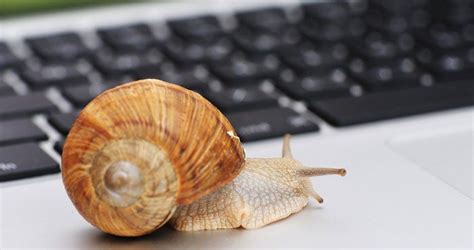 Too many programs running at once (especially on startup). A New Reason Why Your Computer is Running Slow | Slow ...