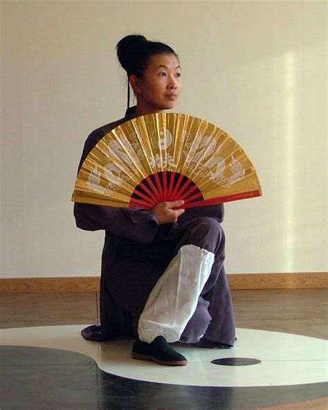 Tai Chi Fan Tai Chi Chuan Tai Chi Qigong Martial Arts Forms Chinese