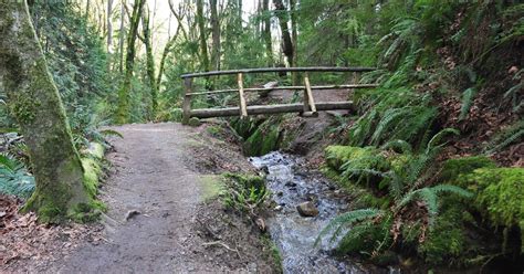 Cougar Mountain Indian Trail 10adventures Route Guide 10adventures