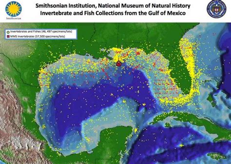Map Of Gulf Of Mexico Collection Smithsonian Ocean