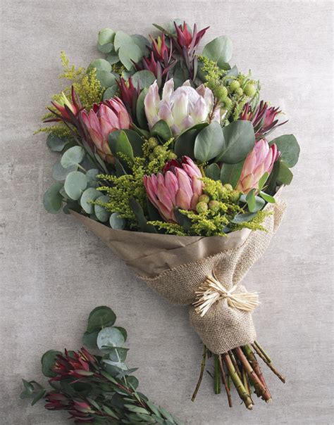 Traditional Protea Bouquet Protea Ts Netflorist