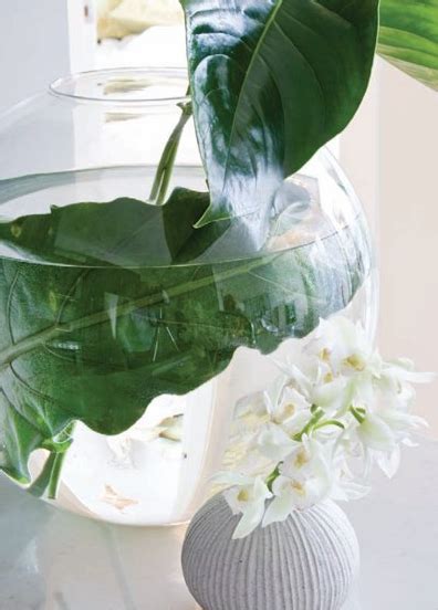 Great savings & free delivery / collection on many items. Pin by Erin Fitzpatrick on Inside | Clear glass vases ...