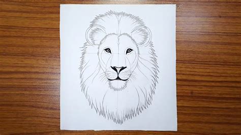How To Draw Lion Face How To Draw Outline Of A Lion Face For