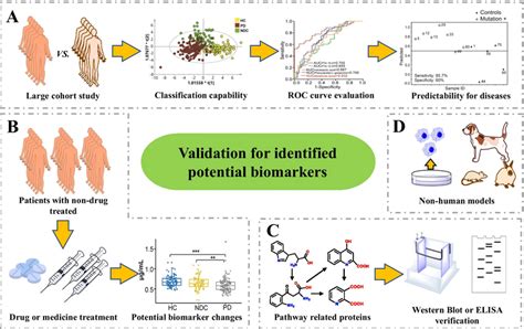 Possible Approaches Of Biomarker Validations Part A B C And D