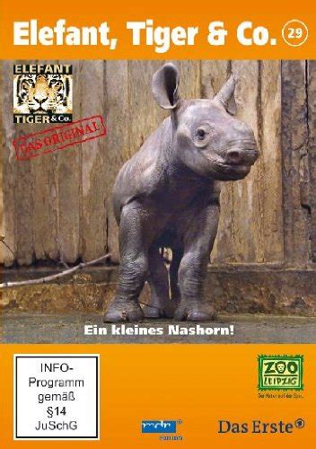 Elefant Tiger And Co Teil 29 Ein Kleines Nashorn 2 Dvds Amazon