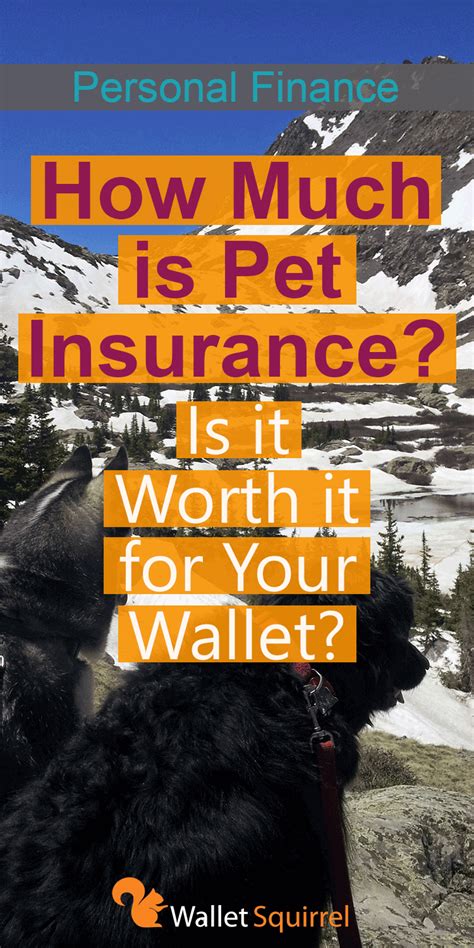 Spot offers customizable health insurance plans for your dog. How Much is Pet Insurance - Is it Worth it for Your Wallet? - Wallet Squirrel