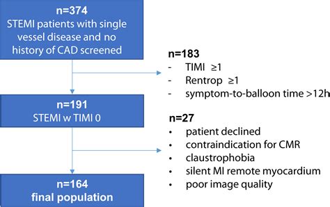 Timedependent Myocardial Necrosis In Patients With Stsegment Free
