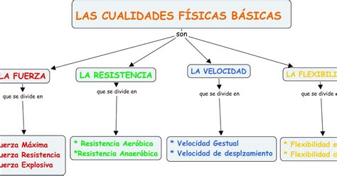 Educaci N F Sica Silvia Mapa Conceptual De Las Cualidades F Sicas B Sicas