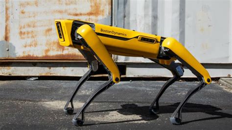 Game where you will be shown a combination of letters and you have to remember them to proove that you are not a robot. You Can Now Buy These Creepy AF Robot Dogs - Here Are 5 ...