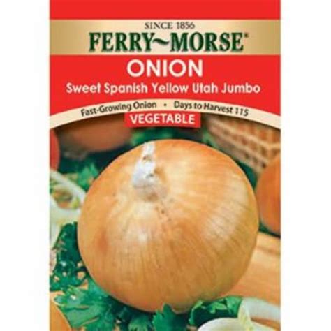 Ferry Morse Sweet Spanish Yellow Utah Jumbo Onion 1 Ct Kroger