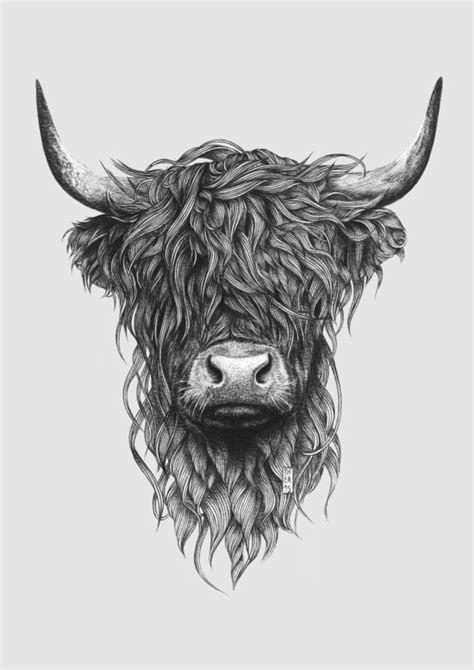 Highland Cow Tattoo Highland Cow Art Highland Cattle Highland Cow