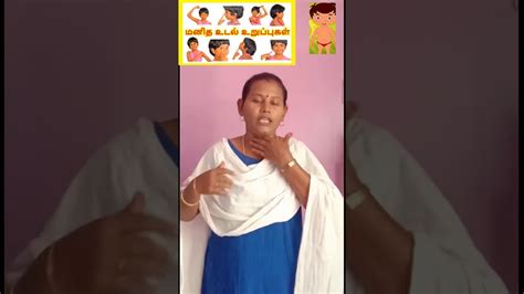 After the body parts lesson in tamil, which we hope you enjoyed; Parts of the body in Tamil - YouTube