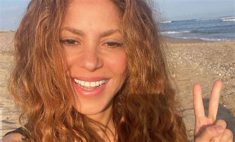 Los Motivos Que Llevaron A Shakira Al Divorcio Con Su Primer Esposo Vibra