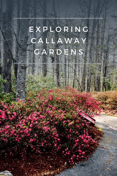 Callaway Gardens Is More Than Just Beautiful Gardens And A Perfect