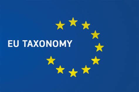 La Taxonomie Verte Européenne Guide Pour Les Entreprises Tapio