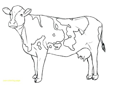 Dairy Cow Coloring Pages At Getdrawings Free Download