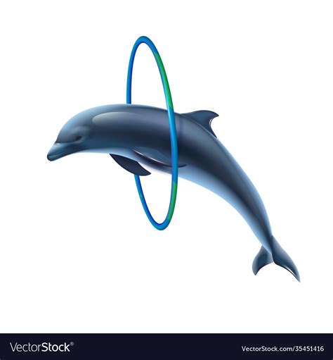 Jumping Dolphin Realistic Image Royalty Free Vector Image