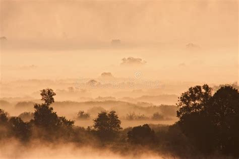 Misty Sunrise Stock Image Image Of Sunrise Nature Field 32637143