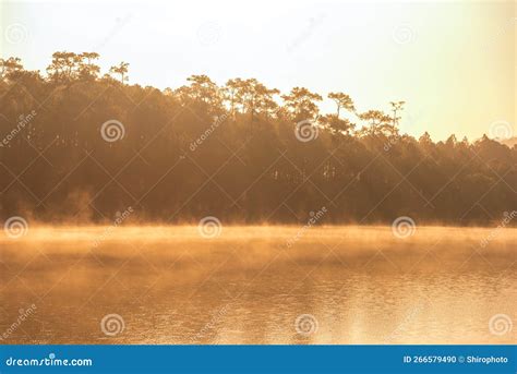Beautiful Nature Scenic Landscape View At Peaceful Lake In The Morning