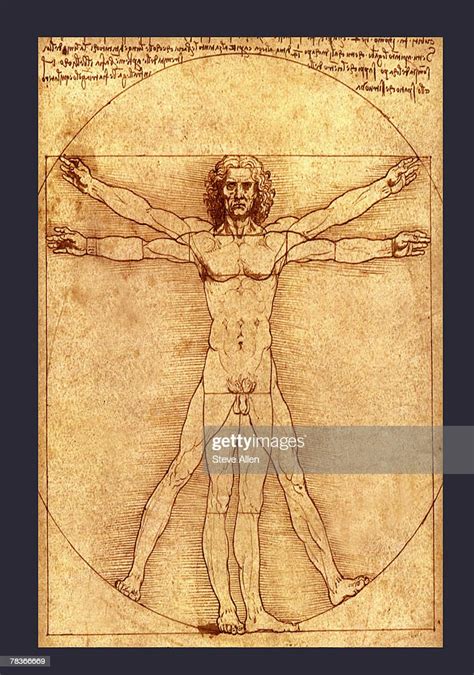 Anatomy Drawing By Leonardo Da Vinci High Res Vector Graphic Getty Images
