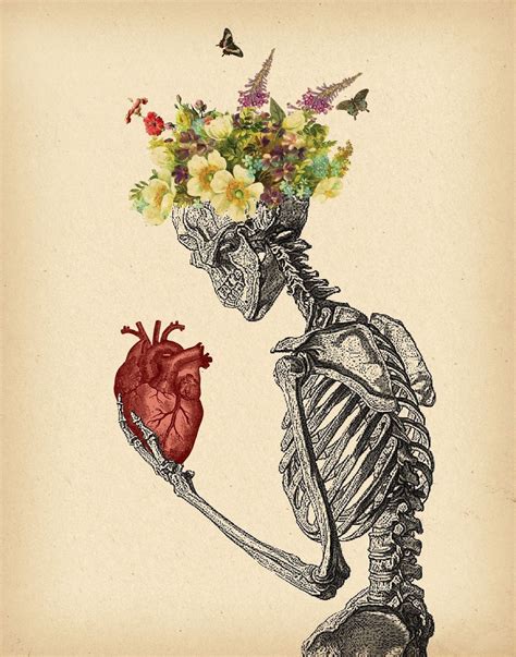 Pin By Adriana Gonzalez On Shakespearen Human Anatomy Art Biology