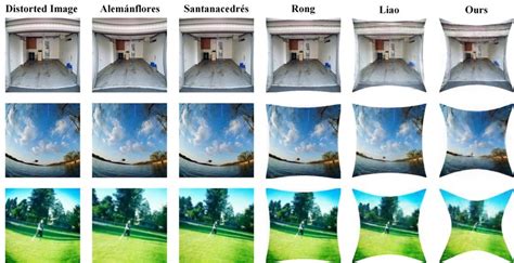 Rectification Results Of The Corrected Real Distorted Images For Each