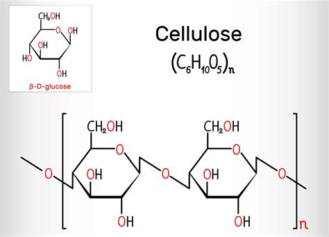 Cellulose Nanodefects The Key To Biofuels And Biomaterials Of The