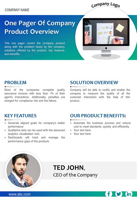 One Page Company Overview Teaser Template Presentation Report