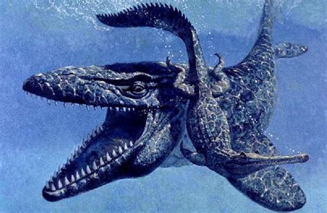 10 Terrifying Prehistoric Sea Monsters Listverse