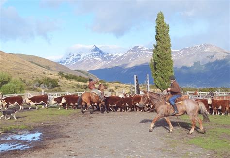 Estancia Patagónica Nibepo Aike Vero Palazzo