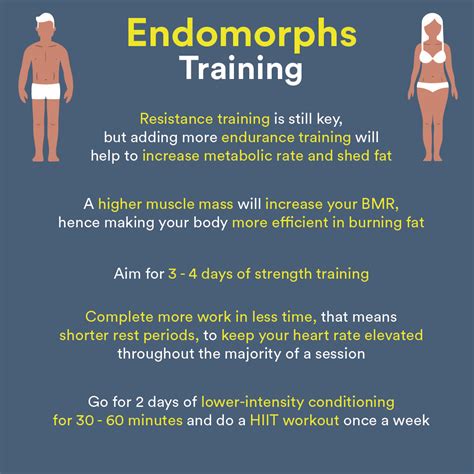 How To Exercise And Diet Correctly For Your Body Type Endomorph Diet