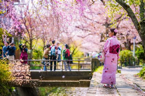 Walking Philosophers Path In Kyoto Japan Travel Caffeine