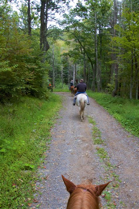 Ridetur I Shenandoah National Park Roadtrips I Usa And Canada