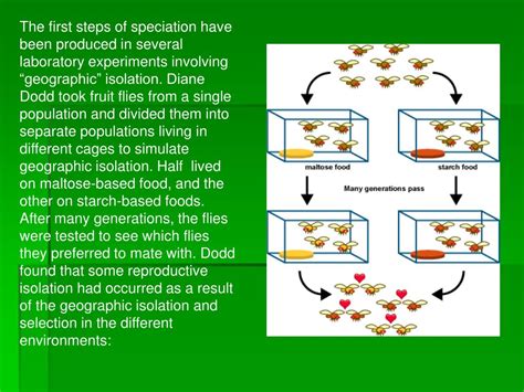 Ppt Speciation Powerpoint Presentation Free Download Id5523083