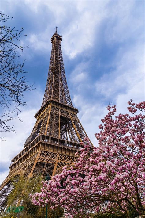 Frühling In Paris Frühlingsgefühle Unter Dem Eiffelturm Spring