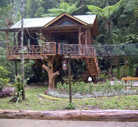 rumah pohon taman safari pesan caravan bungalow taman