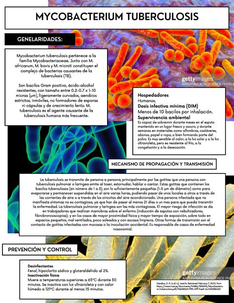 Infograf A De La Bacteria Mycobacterium Tuberculosis Genelaridades