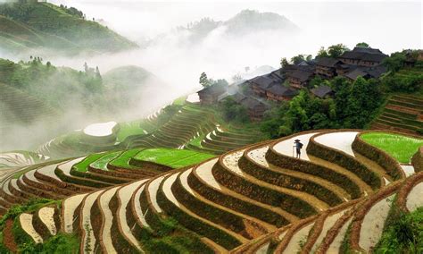 Rice Terraces Field Farming Village Longsheng Guangxi China