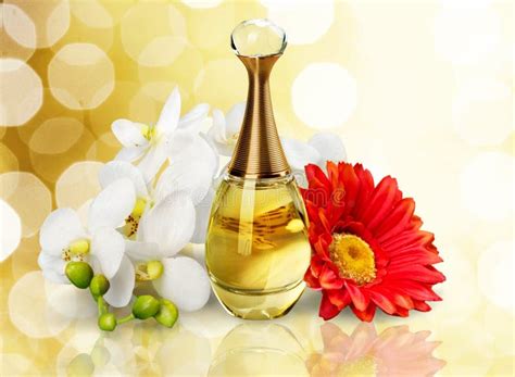 Cosmetics Make Up Perfume Stock Image Image Of Cosmetics Blush