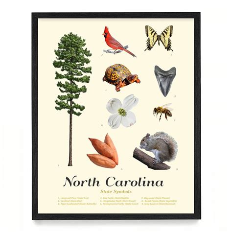 North Carolina State Symbols Typology North Carolina Art Etsy