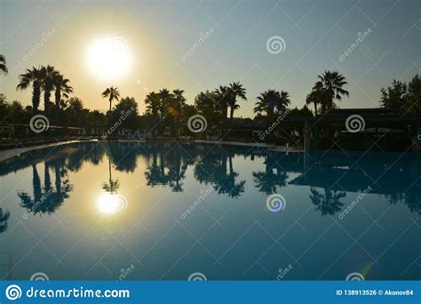 Sunrise By The Pool With Palm Trees Stock Photo Image Of Holiday