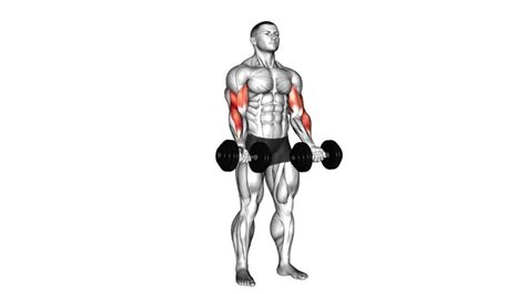 Zottman Curl Dumbbell How To Instructions Proper Exercise Form And